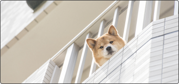 ペット可